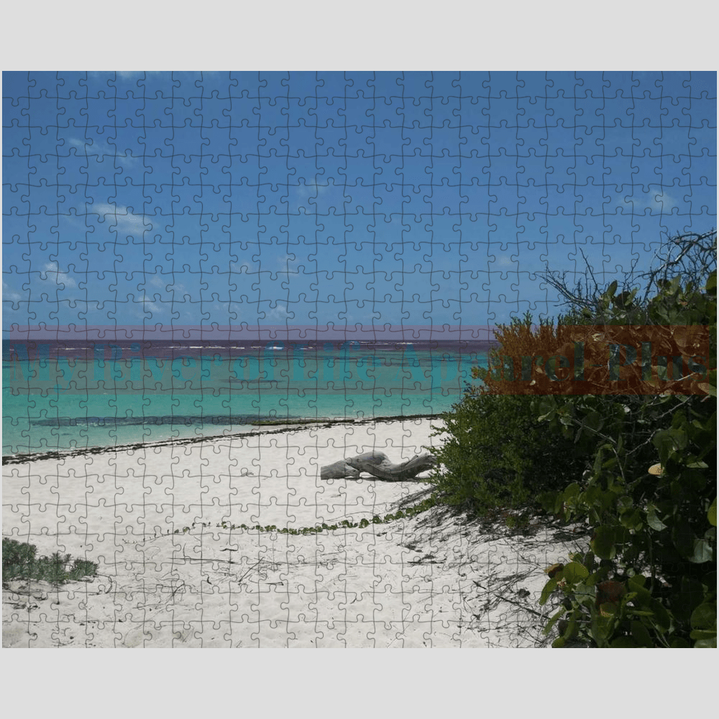 "Beach Path" Puzzles (252 0r 500 pc)