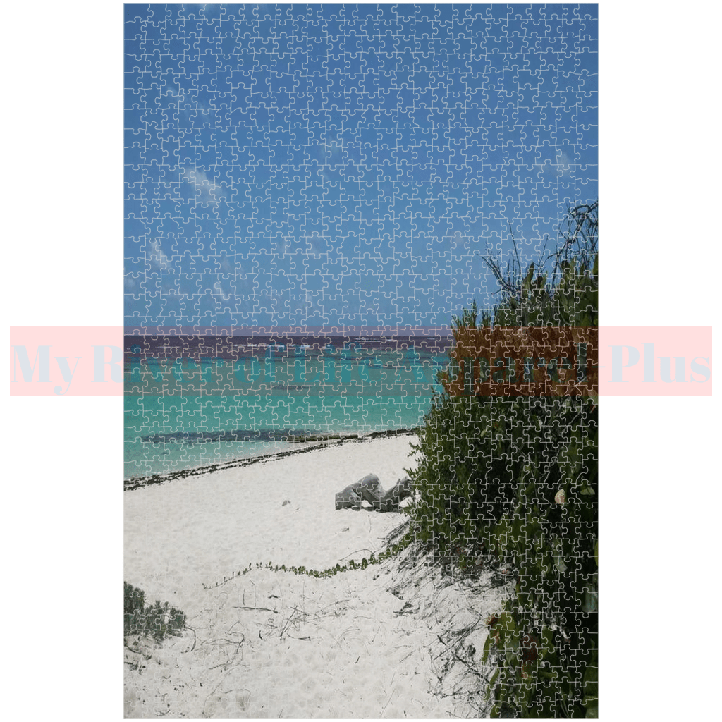 "Beach Path" Puzzles By My River Of Life Pictures & Posters-Plus (676/1014 pc)