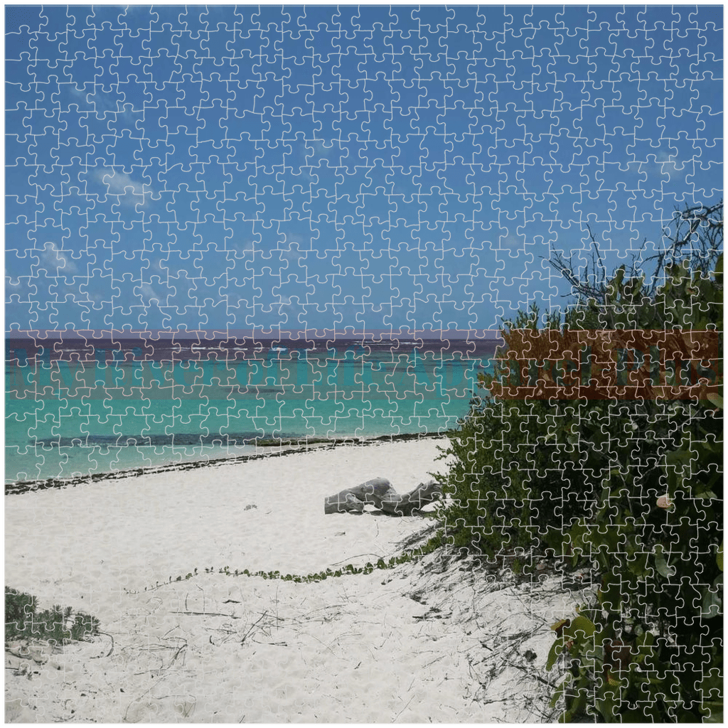 "Beach Path" Puzzles By My River Of Life Pictures & Posters-Plus (676/1014 pc)