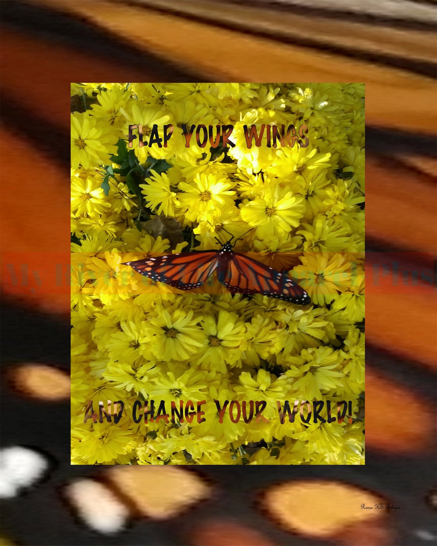 The Magic Of The Monarch (Picture/Poster)